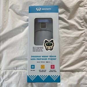 Insulated Water Bottle with Hydration Tracker - Gray